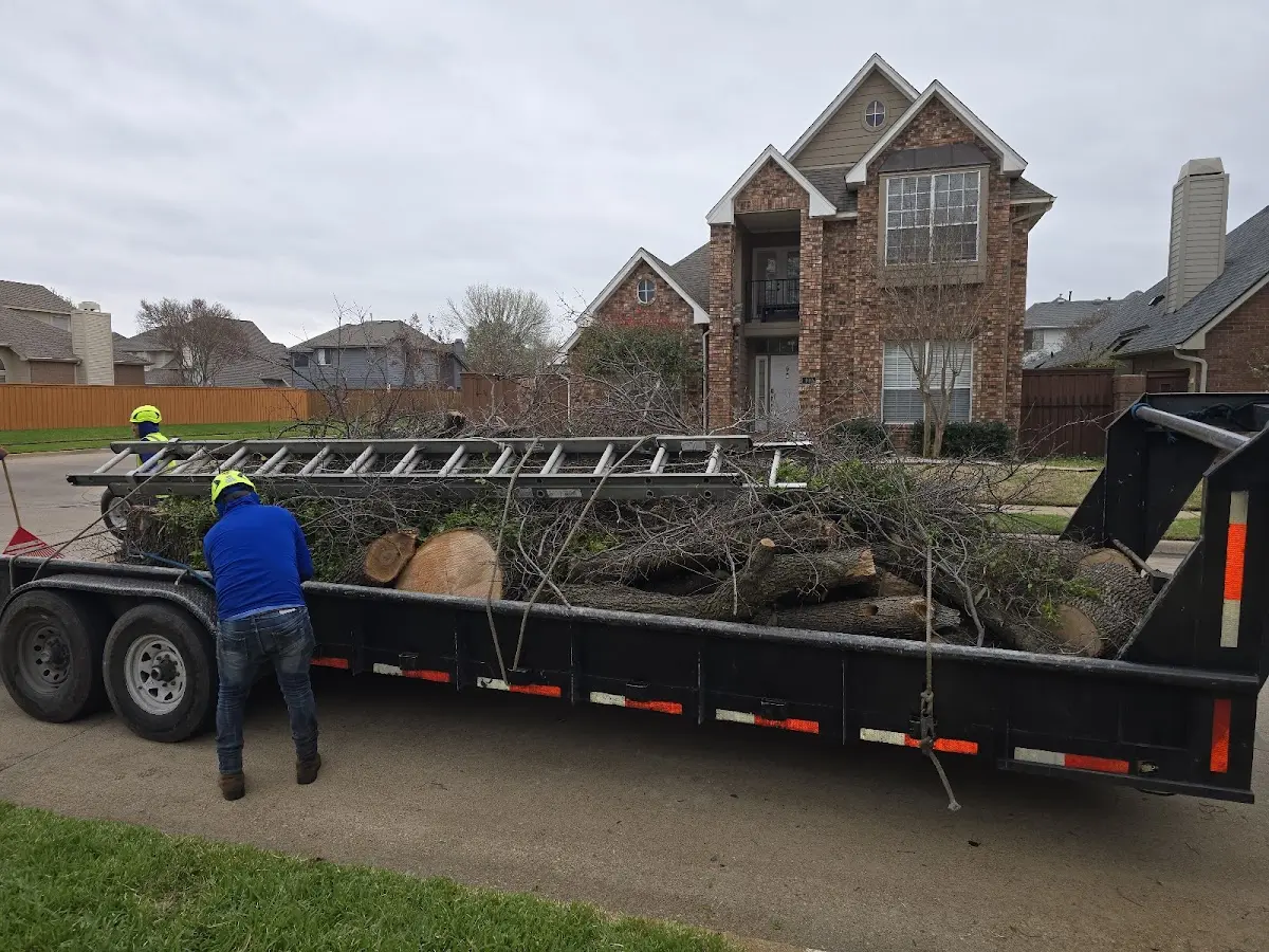 Expert Tree Fertilization with proper safety equipment in Natalbany